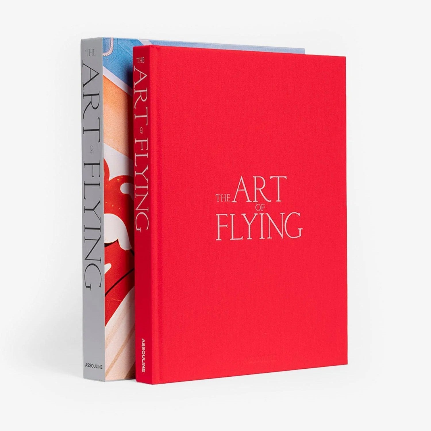 The Art of Flying